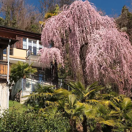 Casa Sibylle Bei Apartment