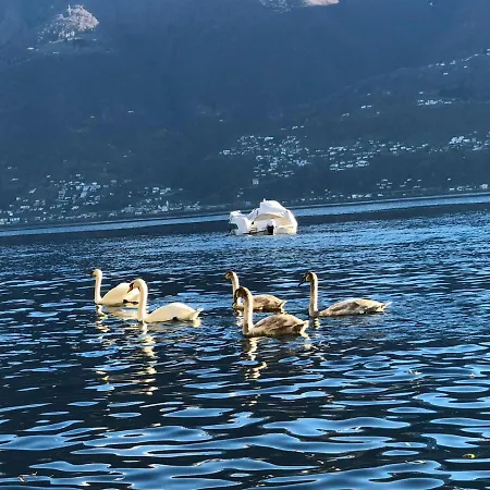 Casa Sibylle Bei Appartamento